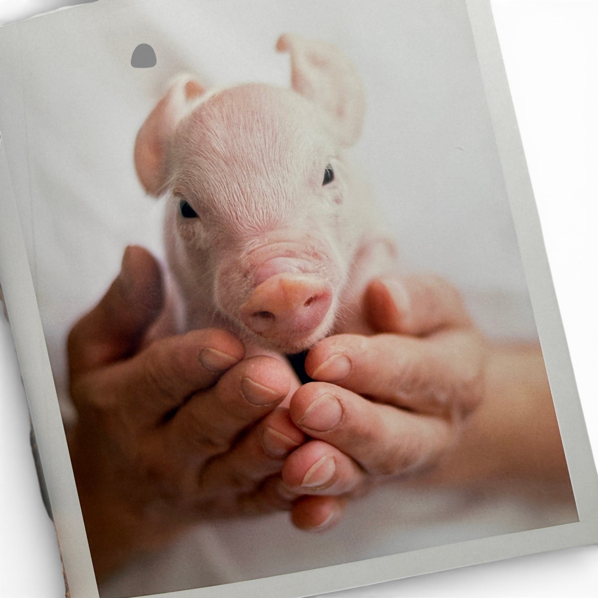 Animals That Make You Smile - Book