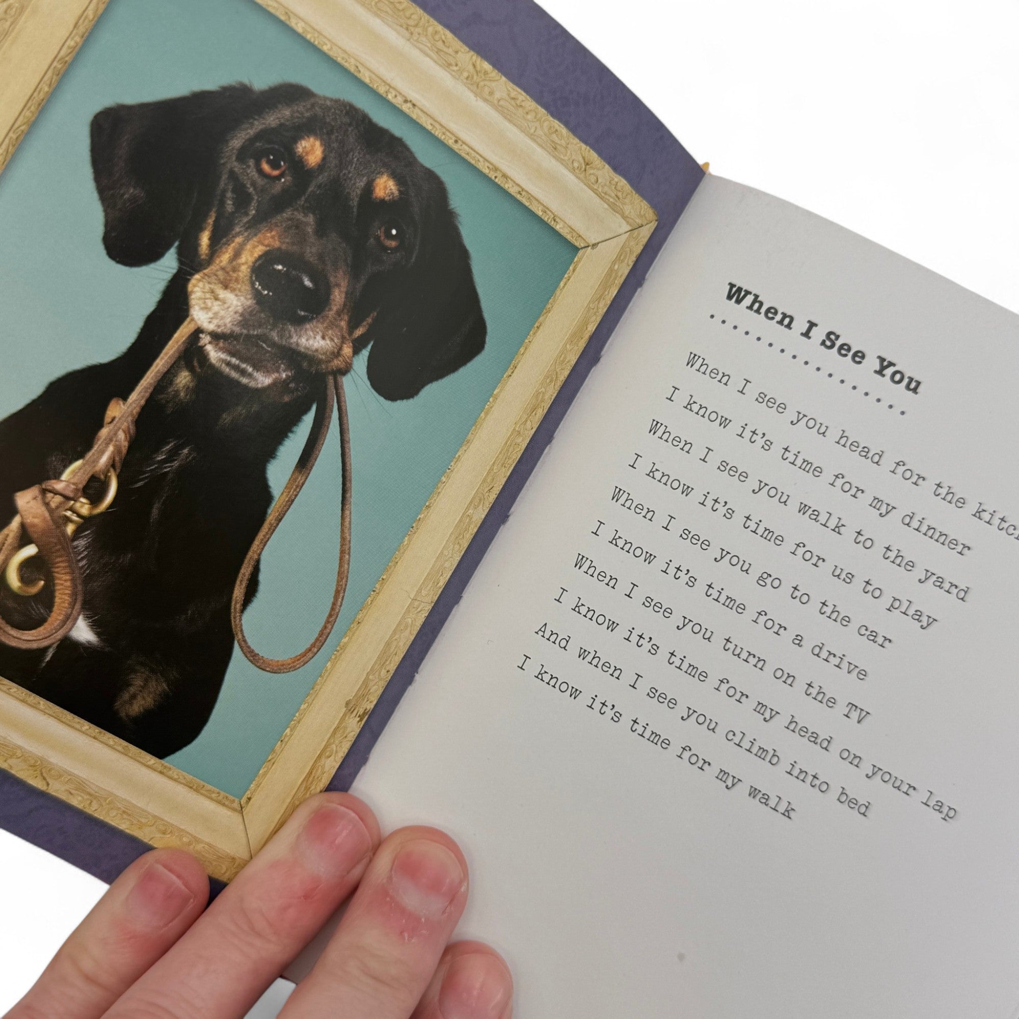 I Could Chew On This - Dog Poem Book