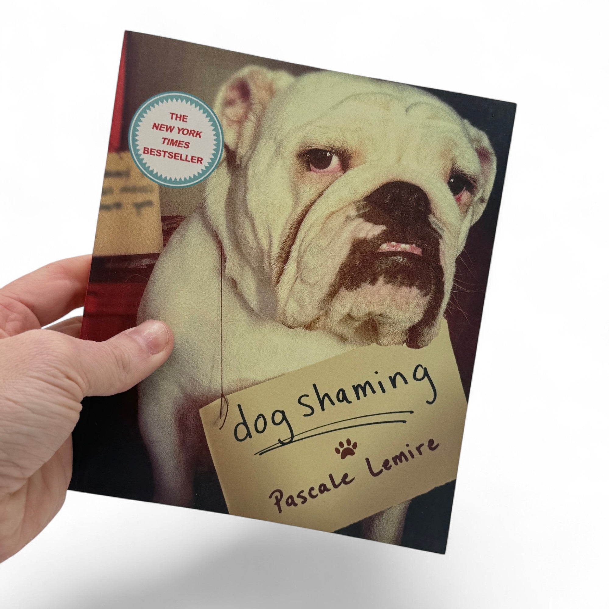 Dog Shaming - Relatable Photo Book