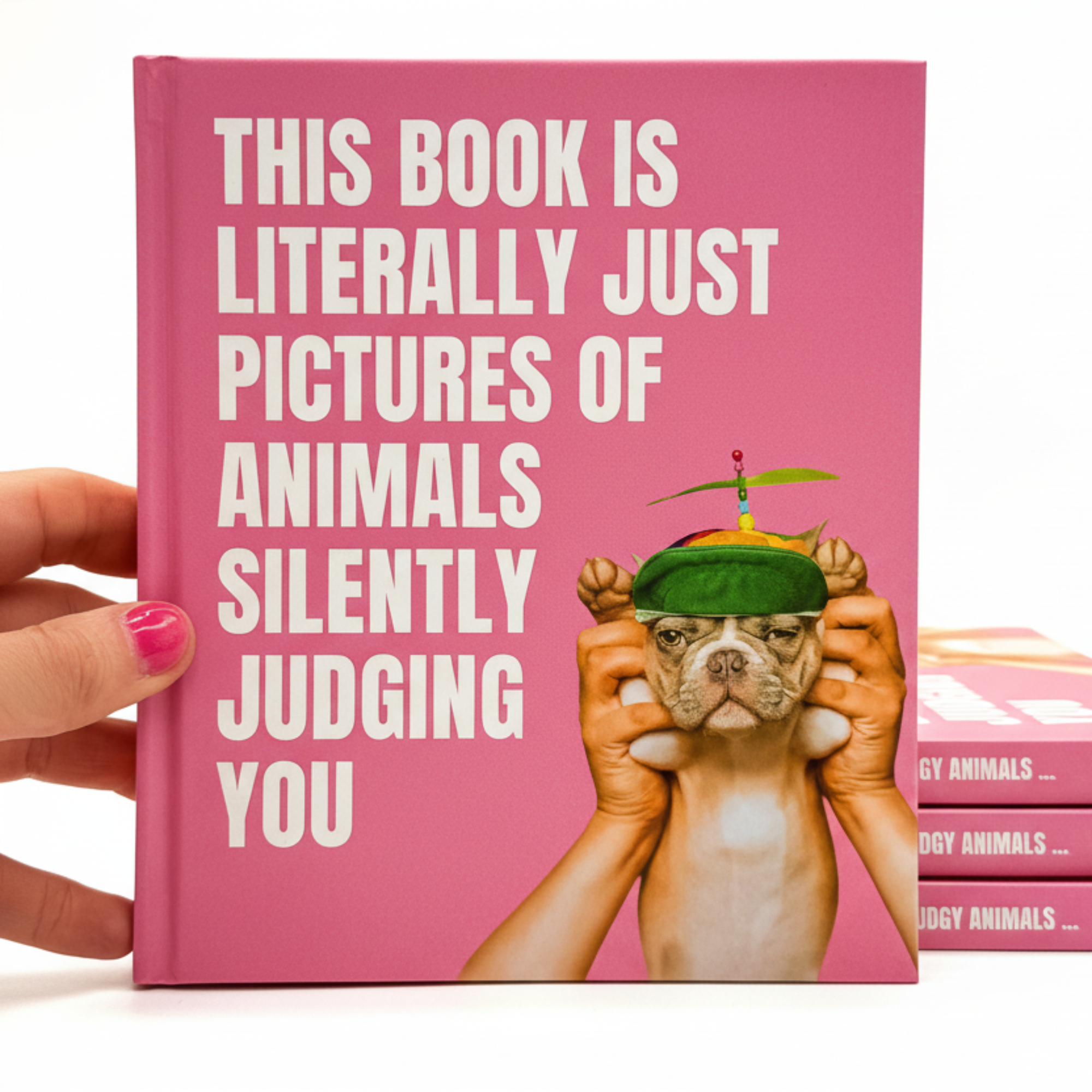 Book titled 'This Book is Literally Just Pictures of Animals Silently Judging you' with a pink cover and humorous text, held by a hand.