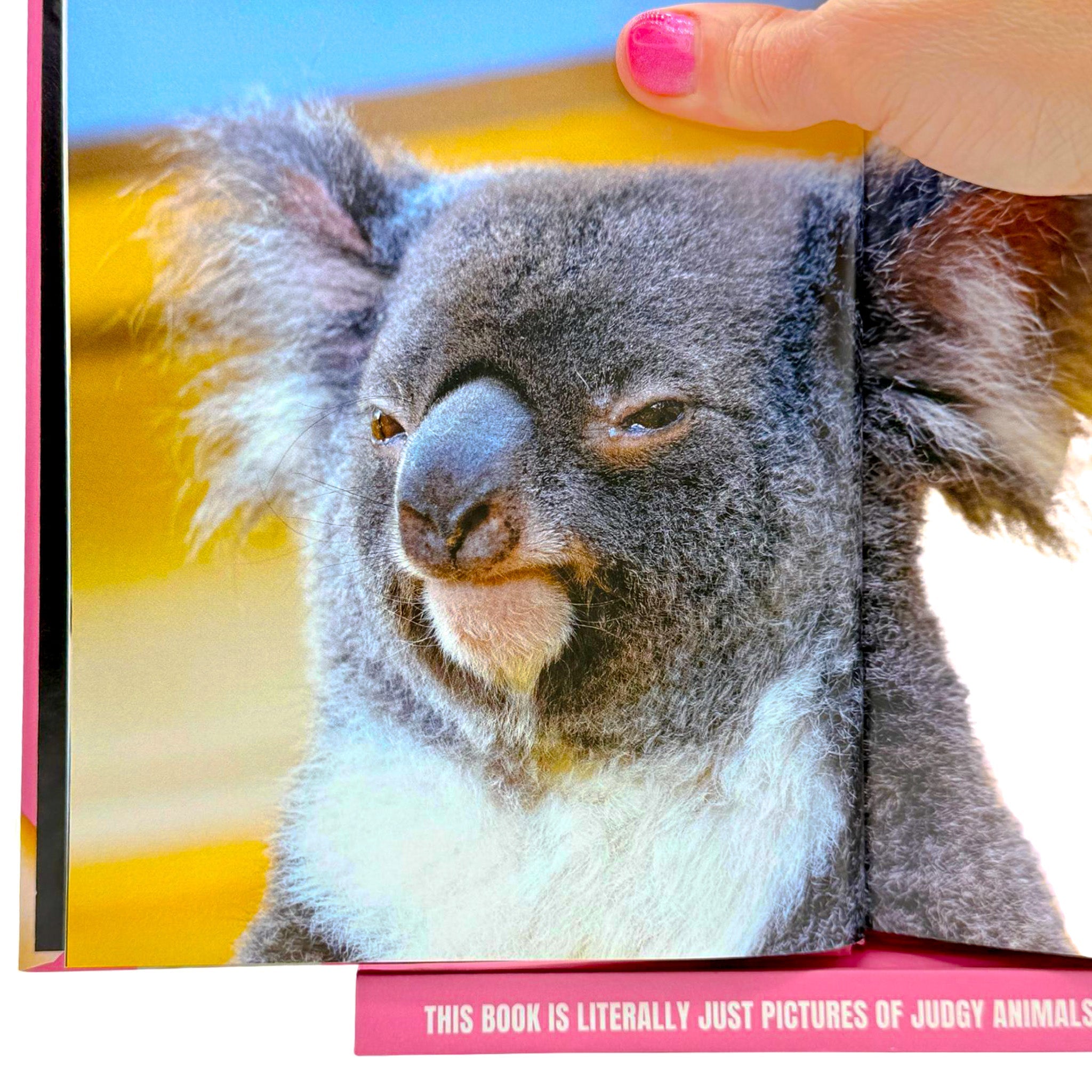 Animals Judging You - Book