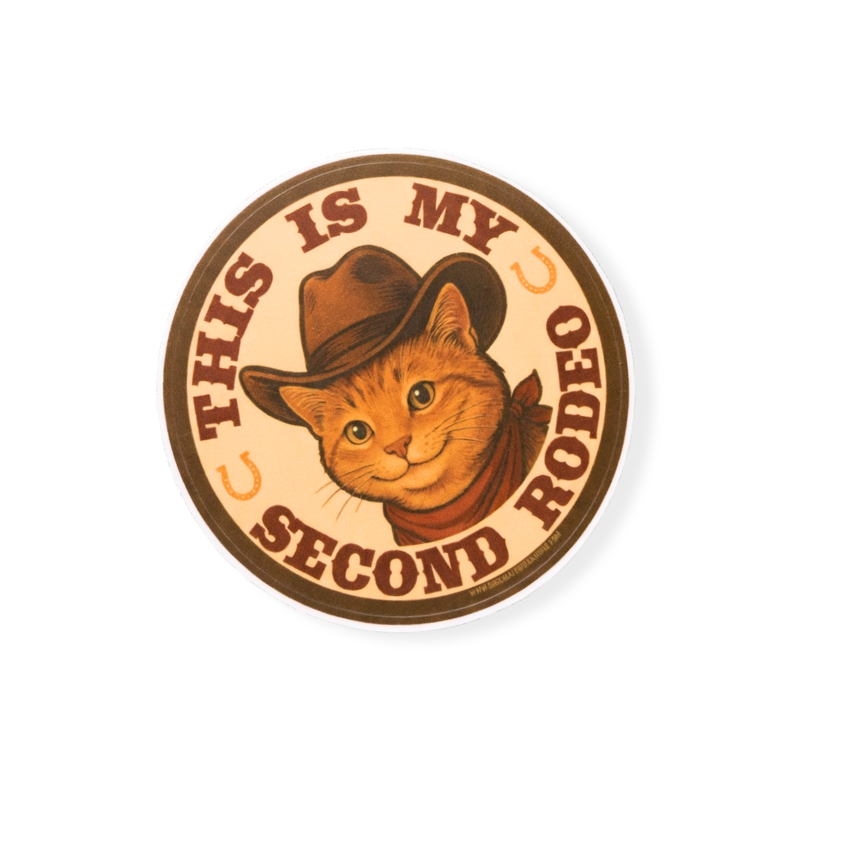 This Is My Second Rodeo - Funny Cat 3" Vinyl Sticker