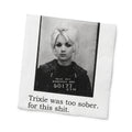 Trixie Was Too Sober for This funny mugshot cocktail napkins, pack of 20, from The Ruddy Duck in Whitefish, Montana