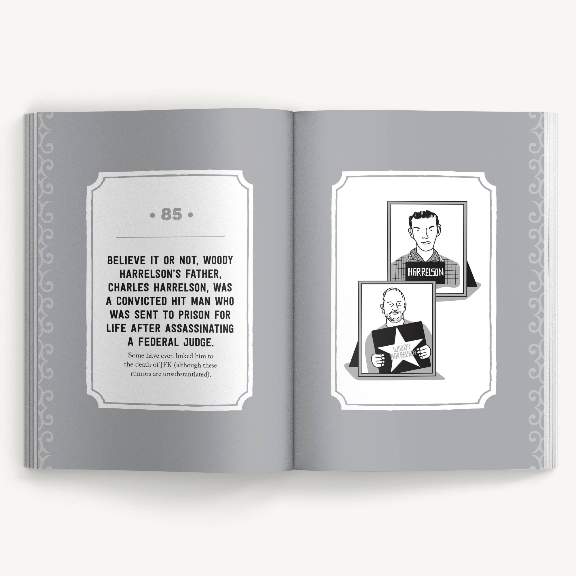 True Facts Pop Culture Book Pages 85