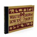 What to Draw and How to Draw It - Paperback Drawing Guide From 1913