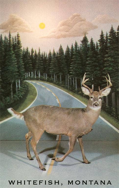 Headlights - Whitefish Postcard