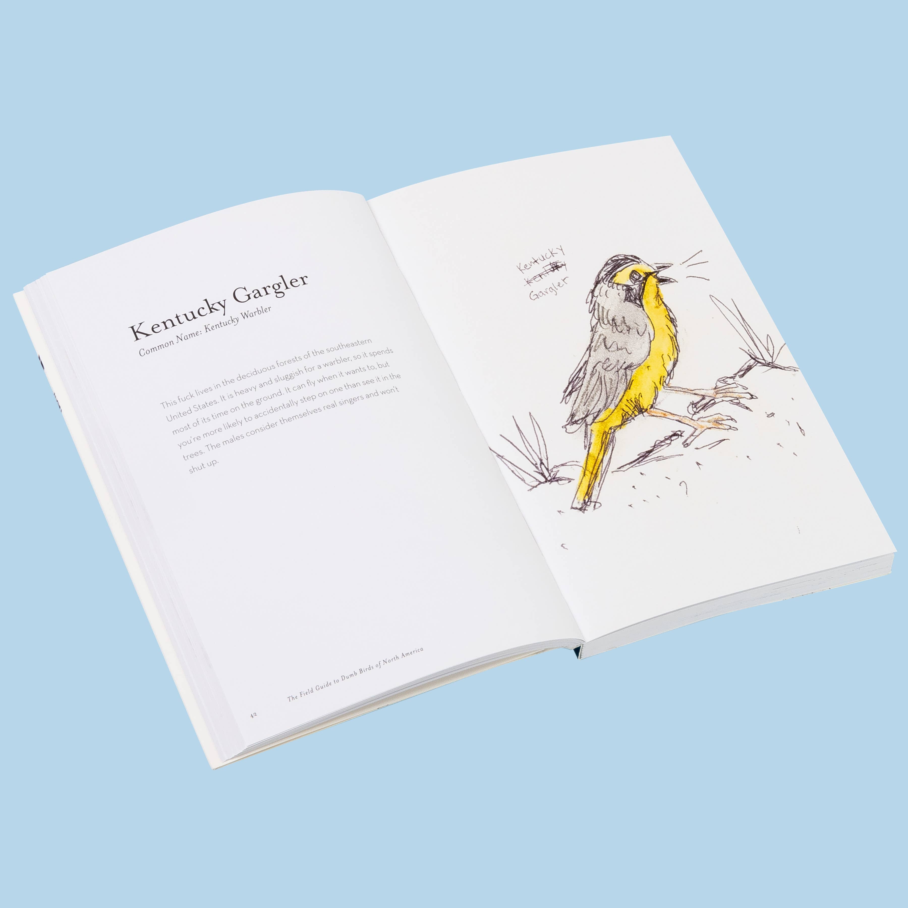 Field Guide To Dumb Birds - Guide Book