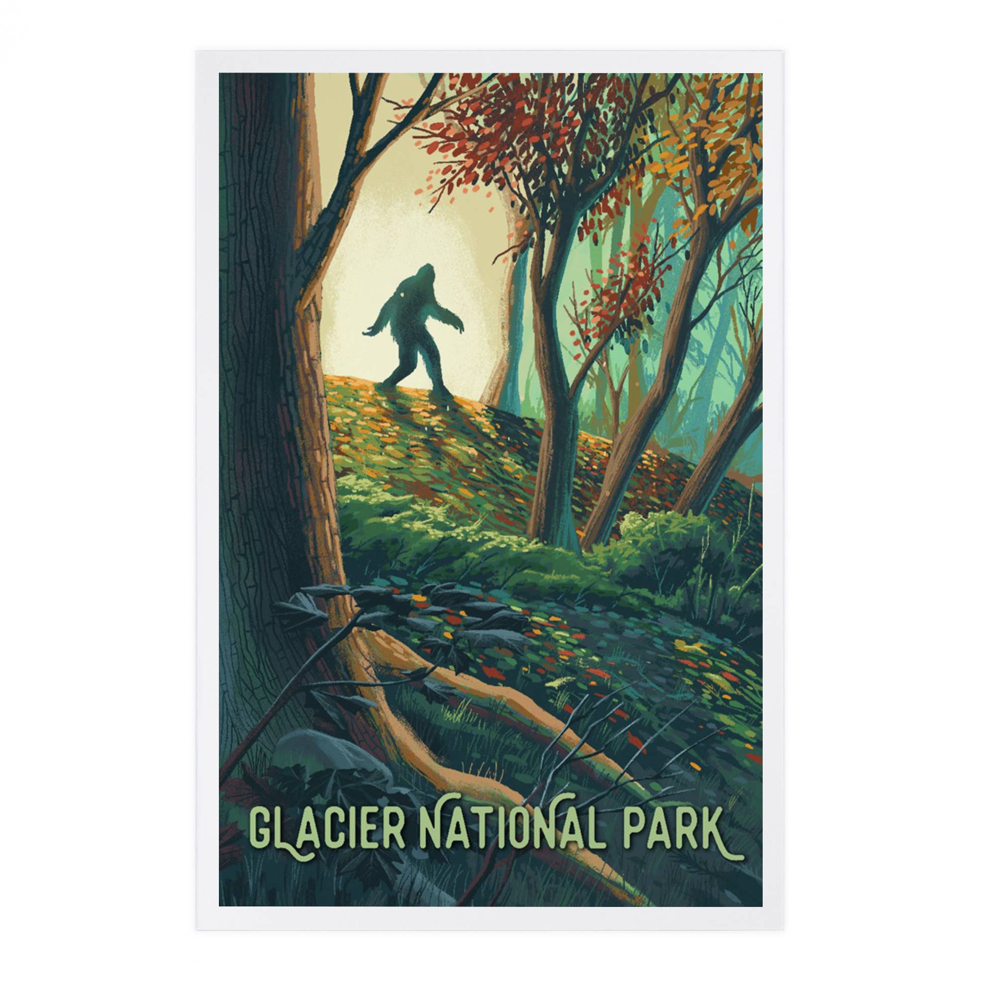 Montana Bigfoot - Glacier Park Postcard