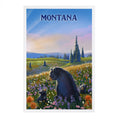 Montana Bears - Glacier Park Postcard