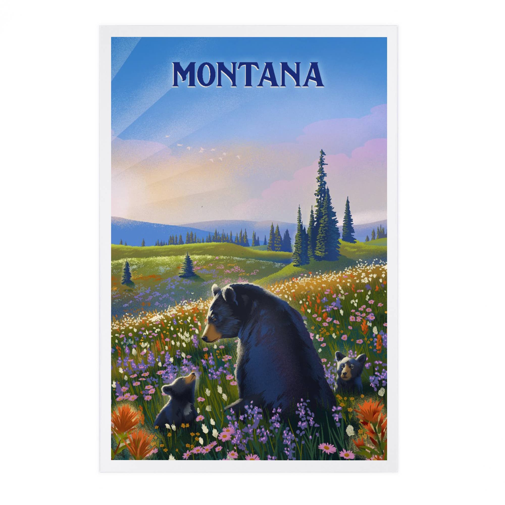 Montana Bears - Glacier Park Postcard