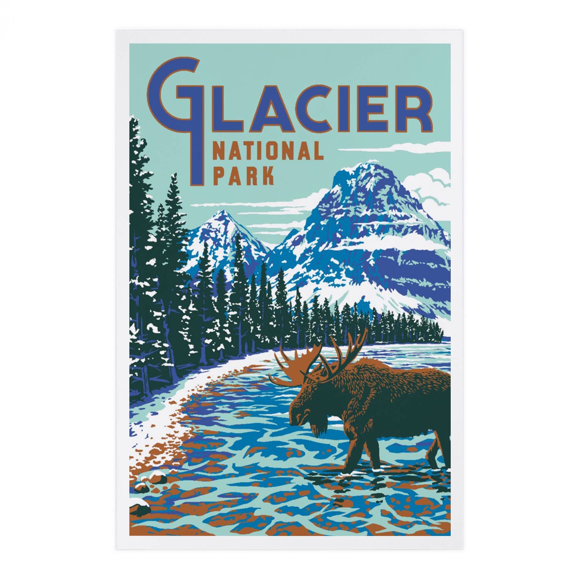 Montana River Moose - Glacier Park Postcard