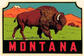 Montana Bison - Fridge Magnet