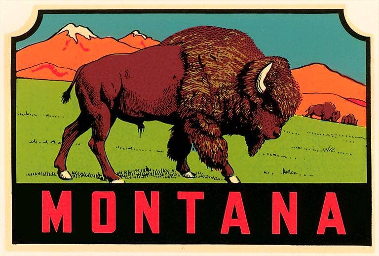 Montana Bison - Fridge Magnet