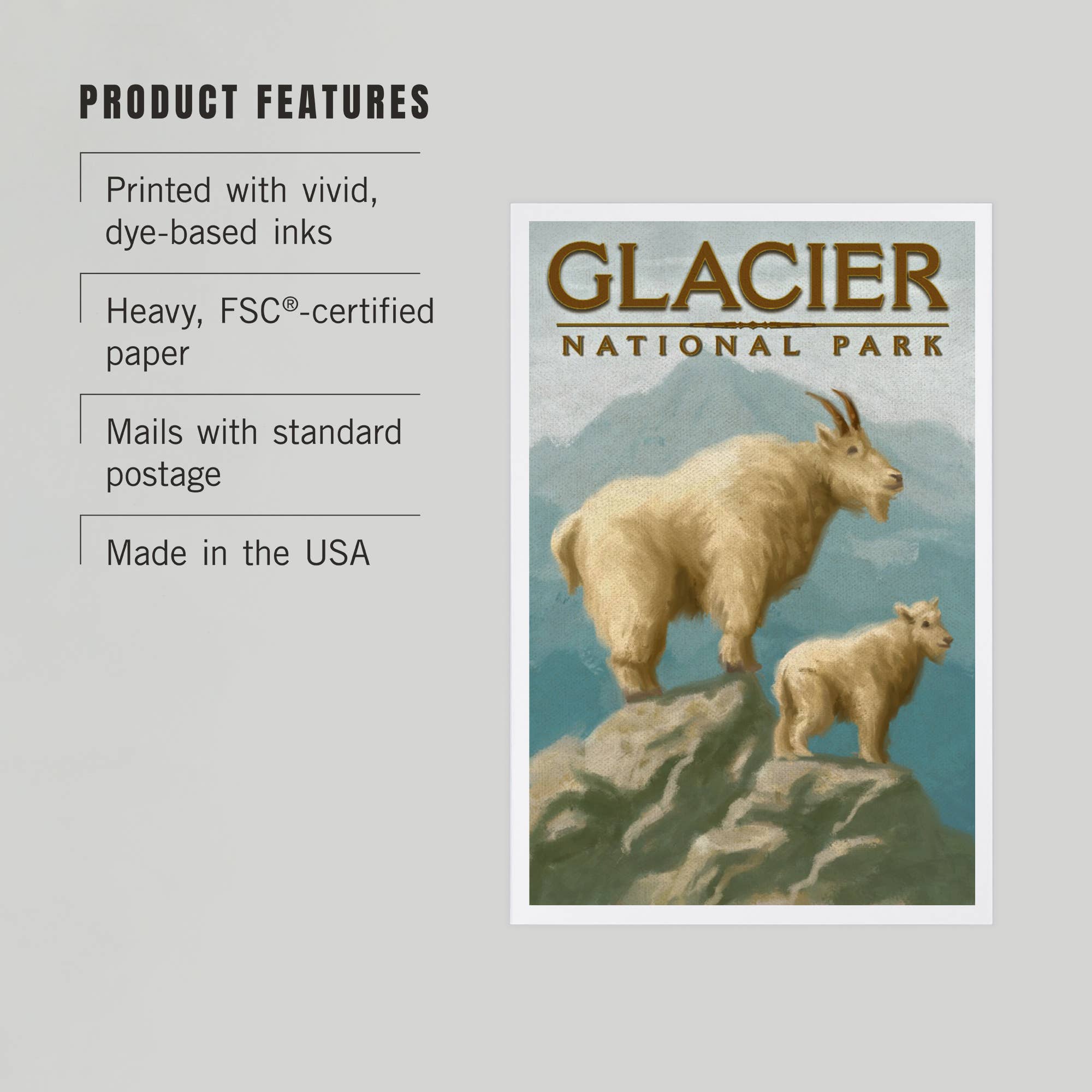 Mountain Goat - Glacier Park Postcard