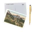 Bear Grass - Glacier Park Postcard Postcard Found Image Press