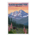 Glacier Park Bear & Flowers - Postcard