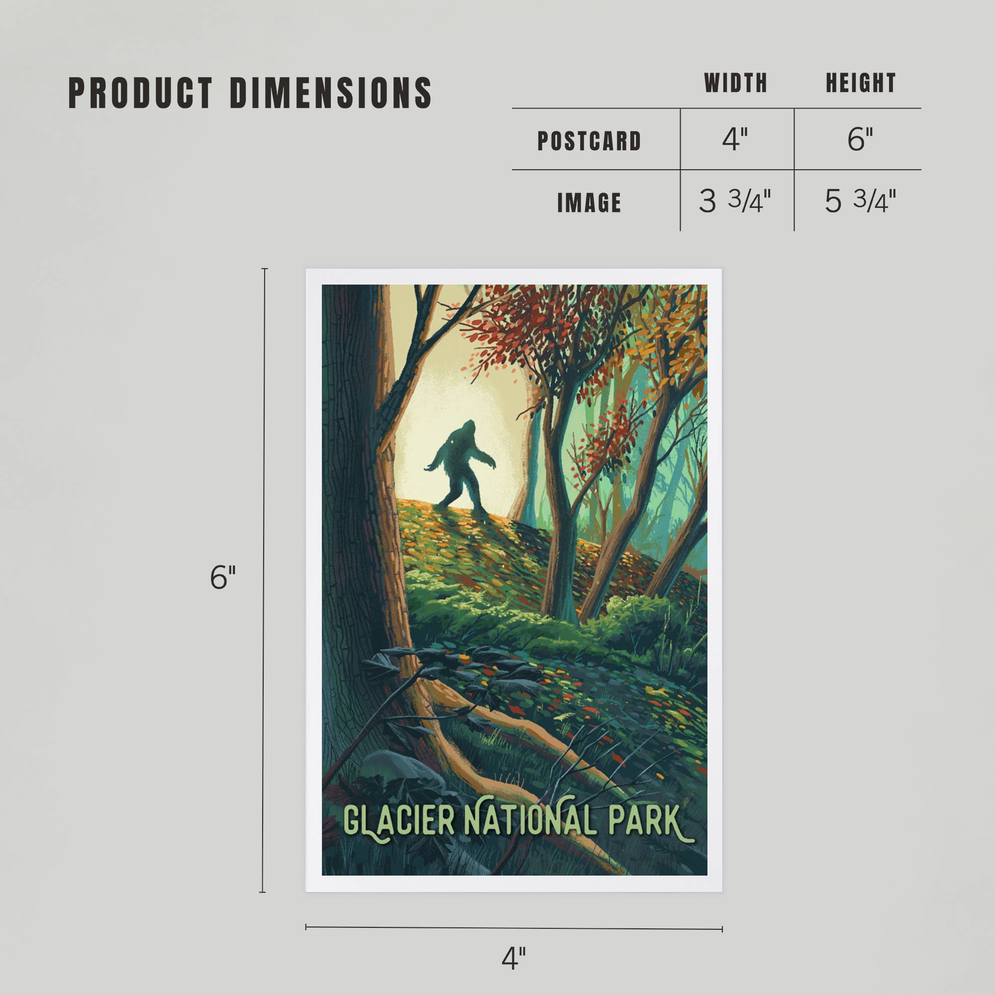 Montana Bigfoot - Glacier Park Postcard