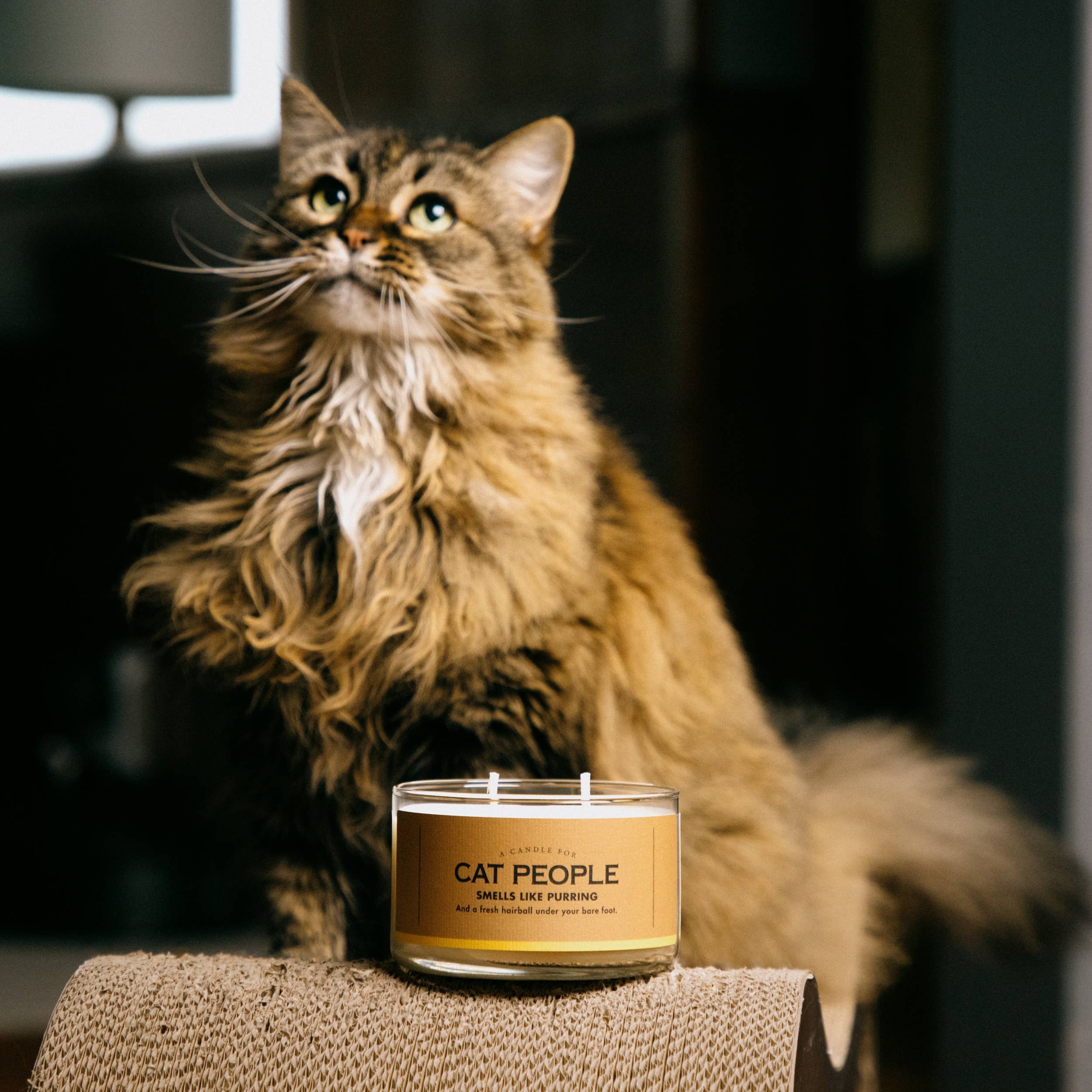 A Candle for Cat People, warm milk scented soy candle by Whiskey River Soap Co., from The Ruddy Duck in Whitefish, Montana