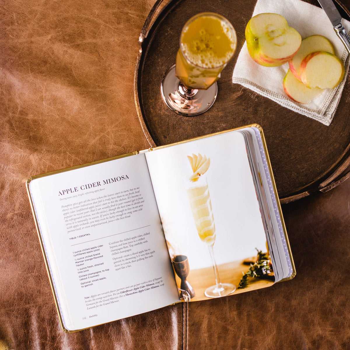 Bubbly champagne and sparkling cocktail recipe book from The Ruddy Duck in Whitefish, Montana, alternate view