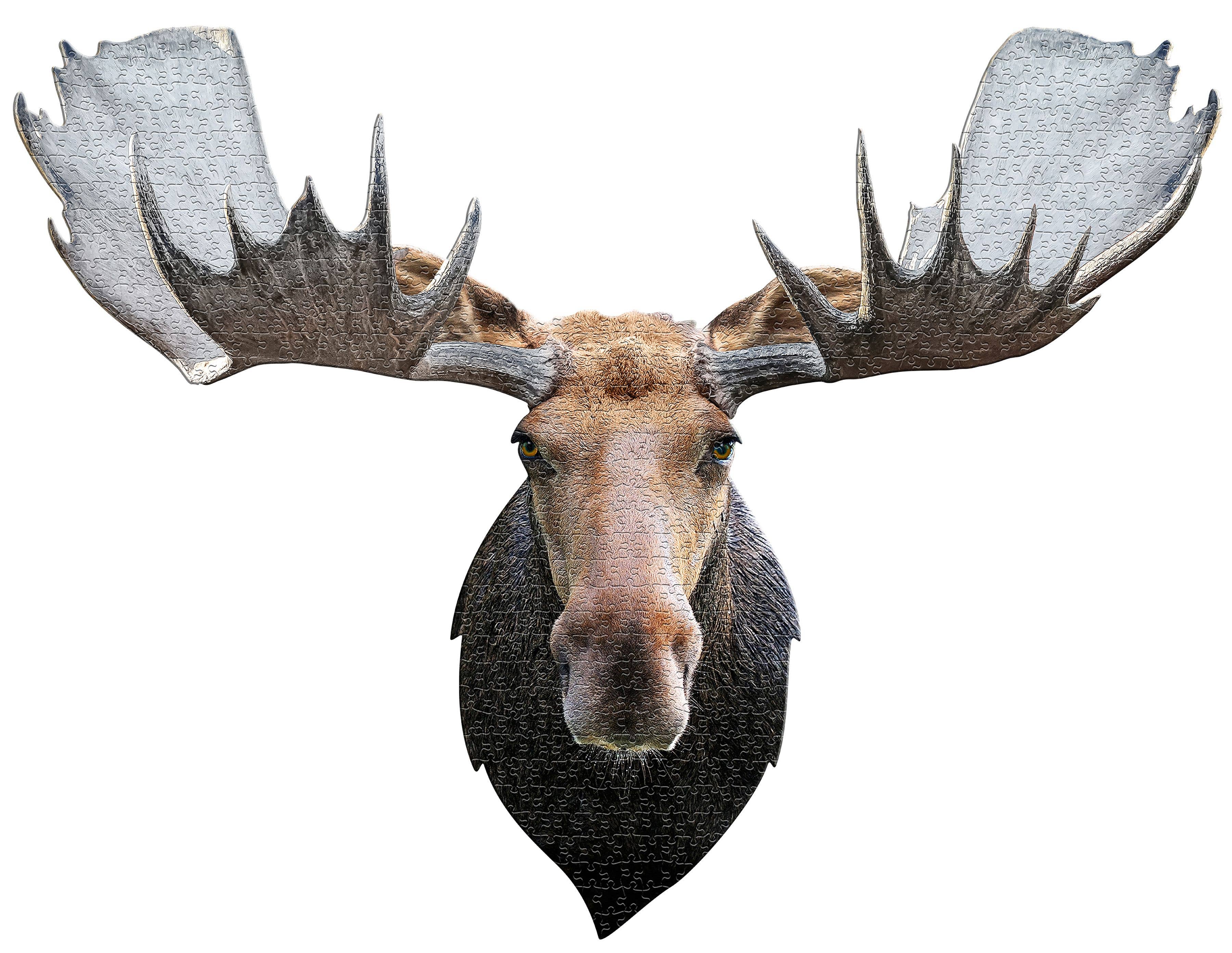 Moose - 700 Piece Jigsaw Puzzle