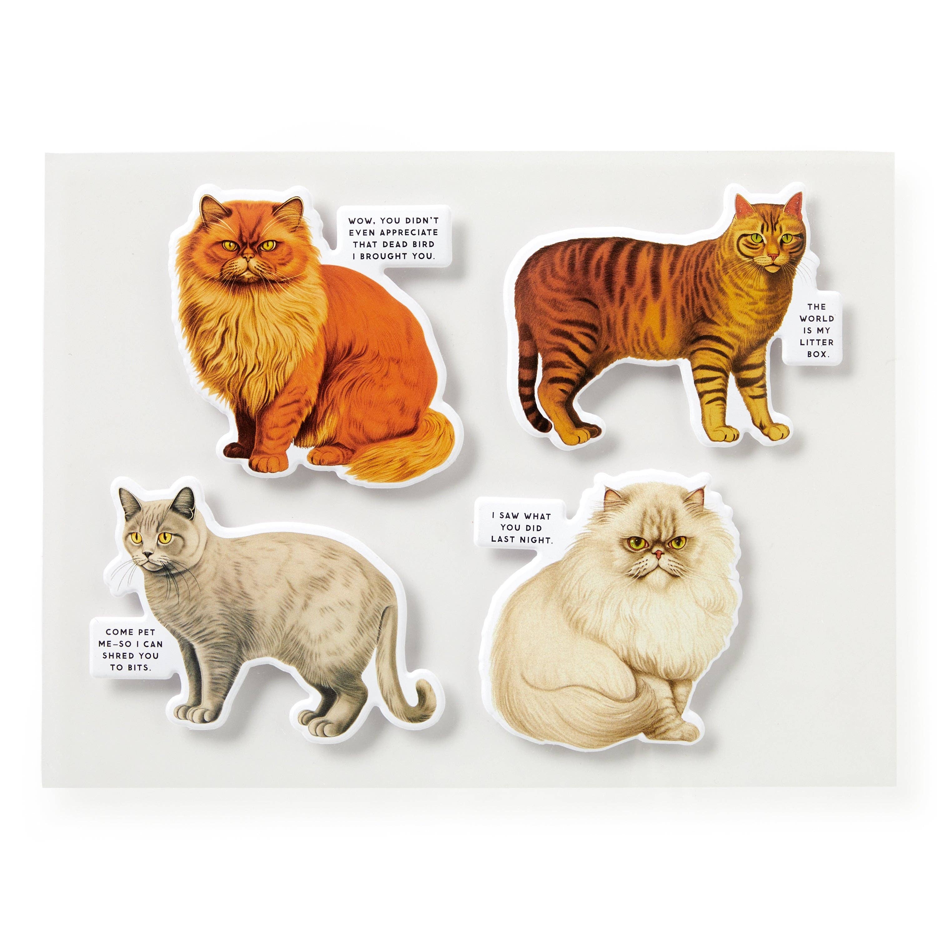 Moody Cats - 1000 Piece Jigsaw Puzzle