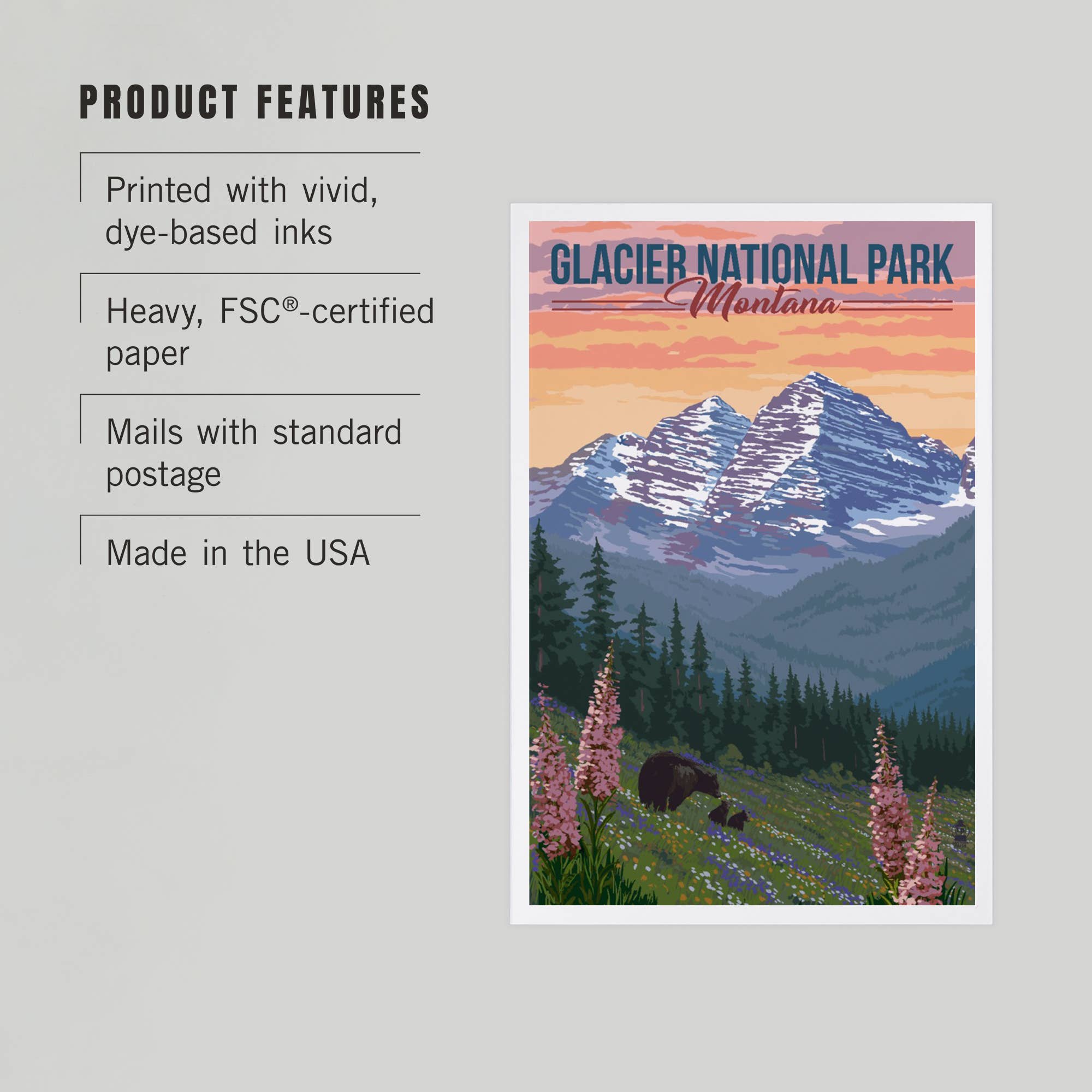 Glacier Park Bear & Flowers - Postcard