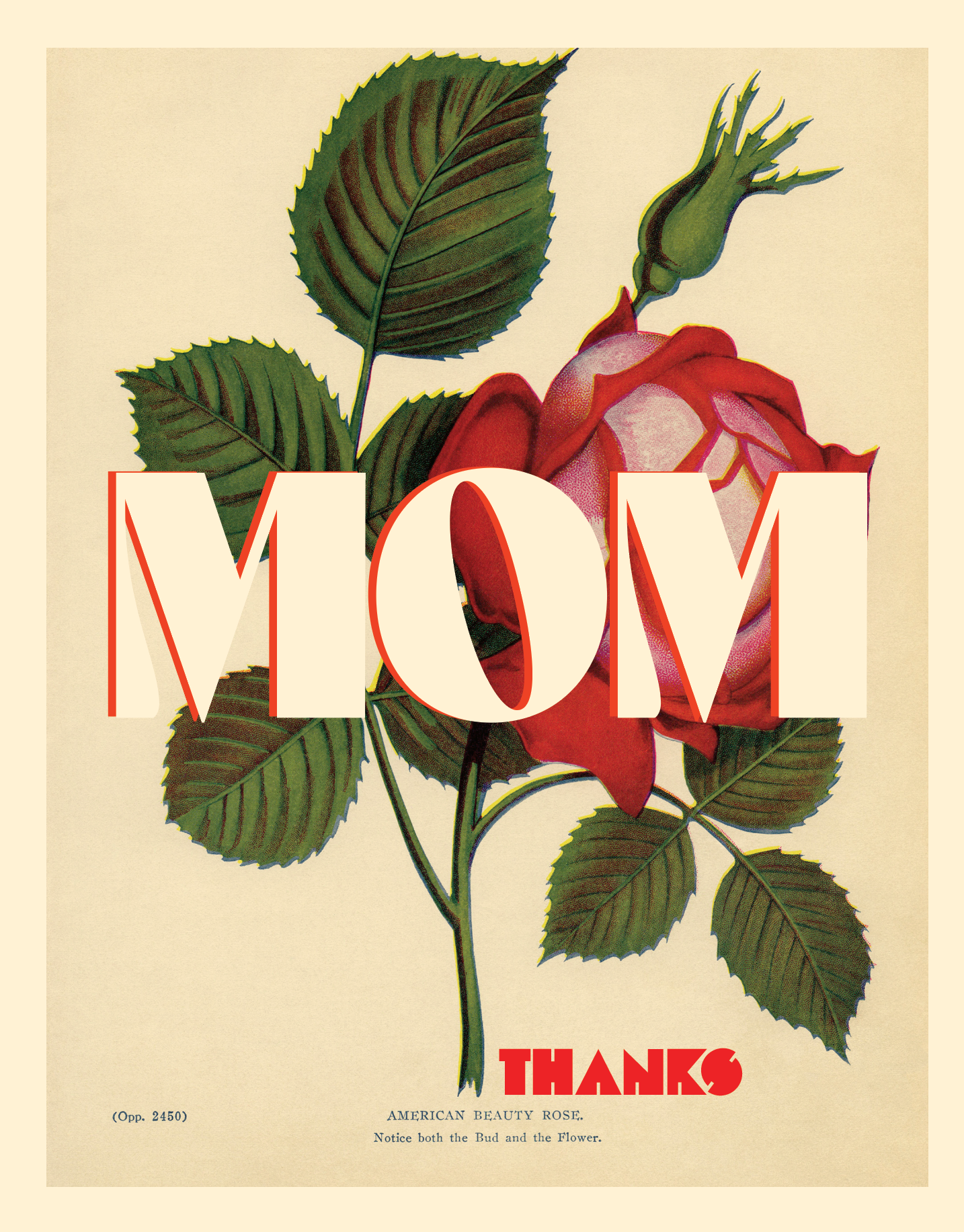 Thanks Mom — Card