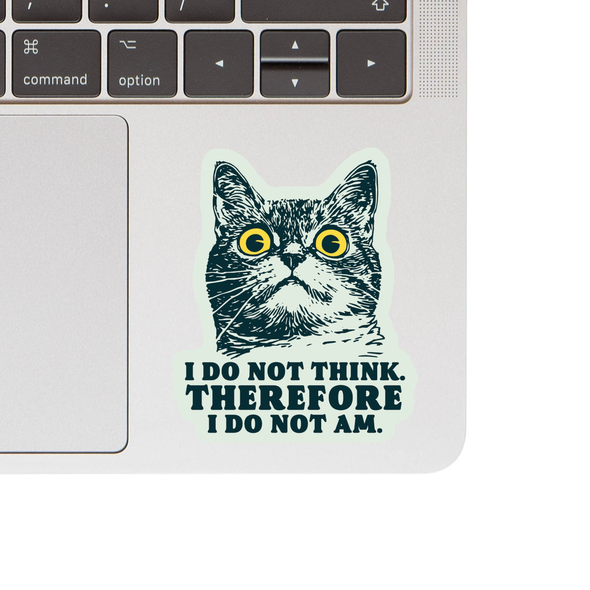 Goofy Kitty funny cat vinyl sticker, from The Ruddy Duck in Whitefish, Montana